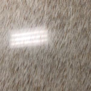 Meet your Posher, Allie